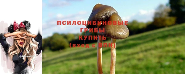 гидра Россошь