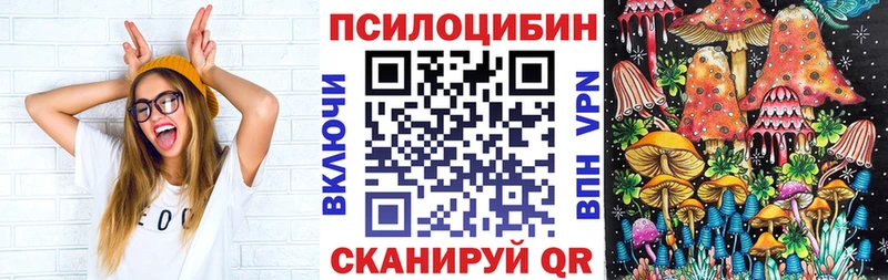 Галлюциногенные грибы прущие грибы  закладка  мега рабочий сайт  Северобайкальск 